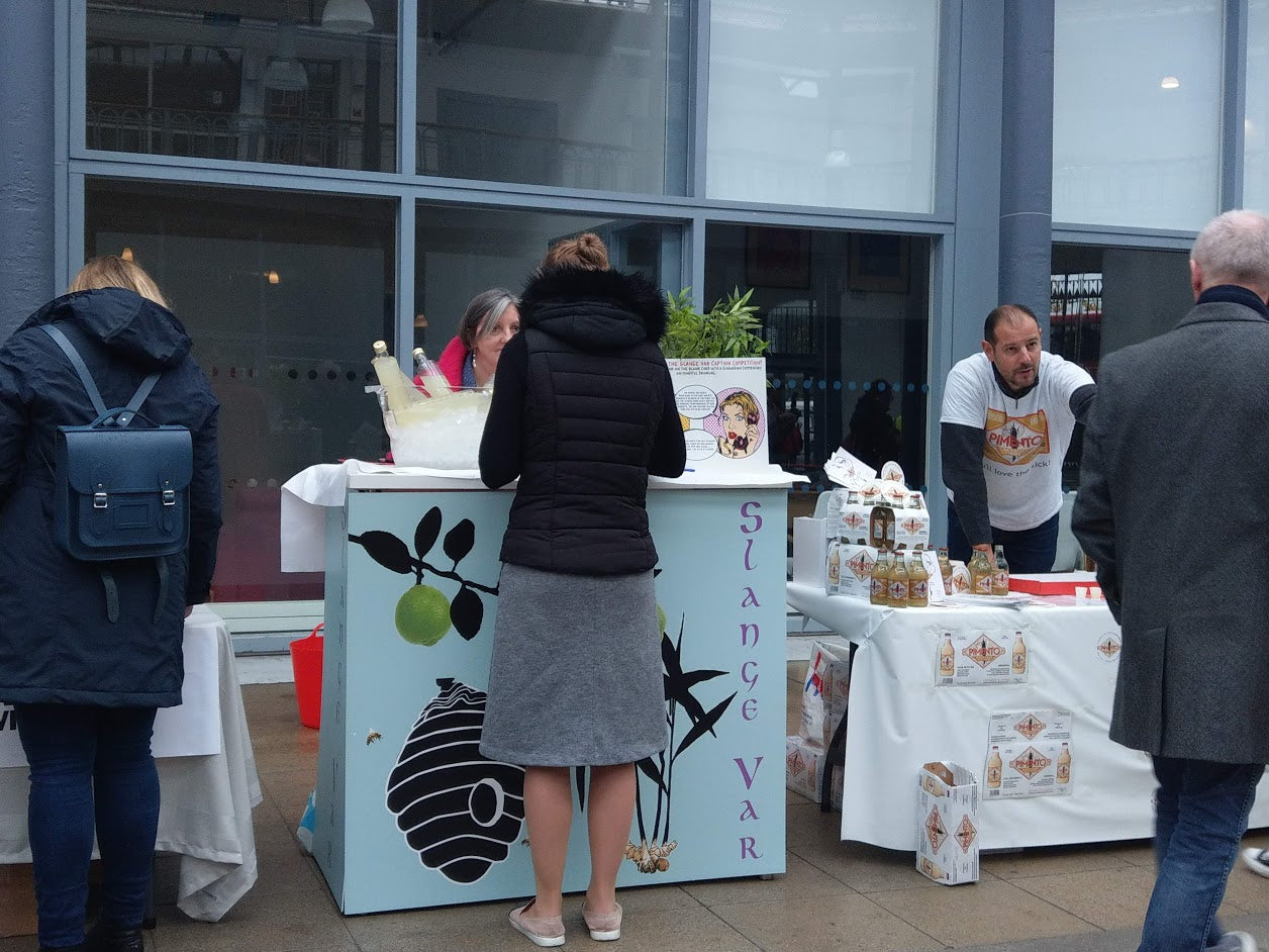 Slange Var at the Mindful Drinking Festival Glasgow, October 2018 π